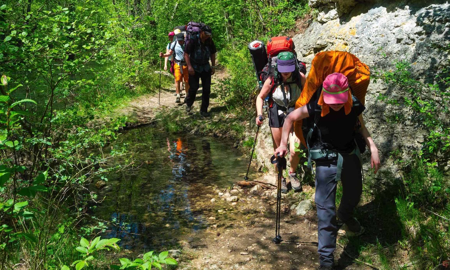 partez à la découverte de l'aventure nature : escapades en plein air, randonnées immersives et rencontres uniques avec la faune. vivez des moments inoubliables au cœur des paysages sauvages.