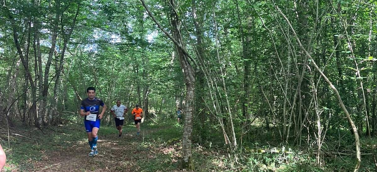 découvrez le sentier populaire du gers, une expérience unique pour les amoureux de la nature. parcourez des paysages pittoresques, savourez la gastronomie locale et explorez la richesse culturelle de cette région authentique. parfait pour les randonneurs, les familles et ceux en quête de tranquillité.