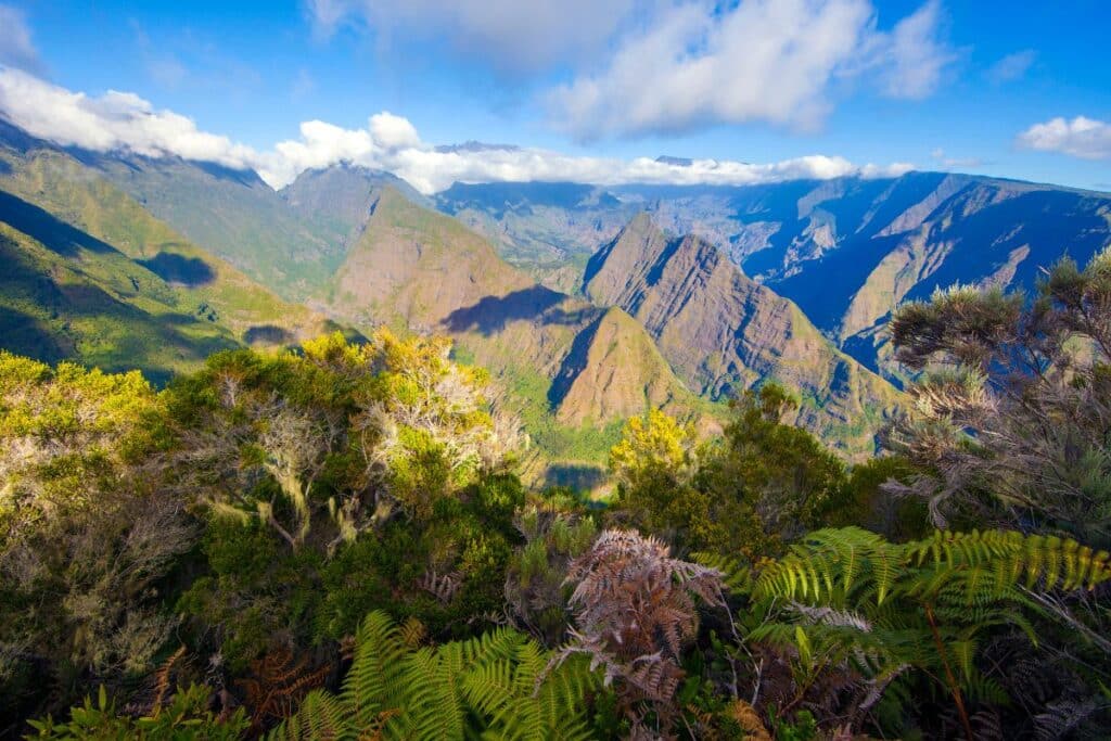 participez à l'ultra terrestre, un défi époustouflant de 224 km à travers les paysages magnifiques de la réunion. testez vos limites et découvrez la beauté de cette île tout en affrontant les défis de la nature. inscrivez-vous dès maintenant pour vivre une aventure inoubliable !