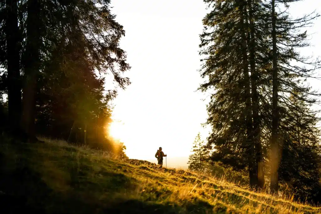 découvrez l'incroyable parcours d'aline aizier, une athlète inspirante qui a brillamment réussi dans le monde de l'ultra-trail. plongez dans son histoire de détermination, de passion et de succès, et laissez-vous inspirer par ses exploits impressionnants sur les sentiers les plus exigeants.