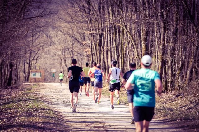 découvrez l'excitation de la course à pied le long des rives du rhône en 2025. rejoignez-nous pour un événement incontournable mêlant sport, nature et convivialité dans un cadre idyllique.