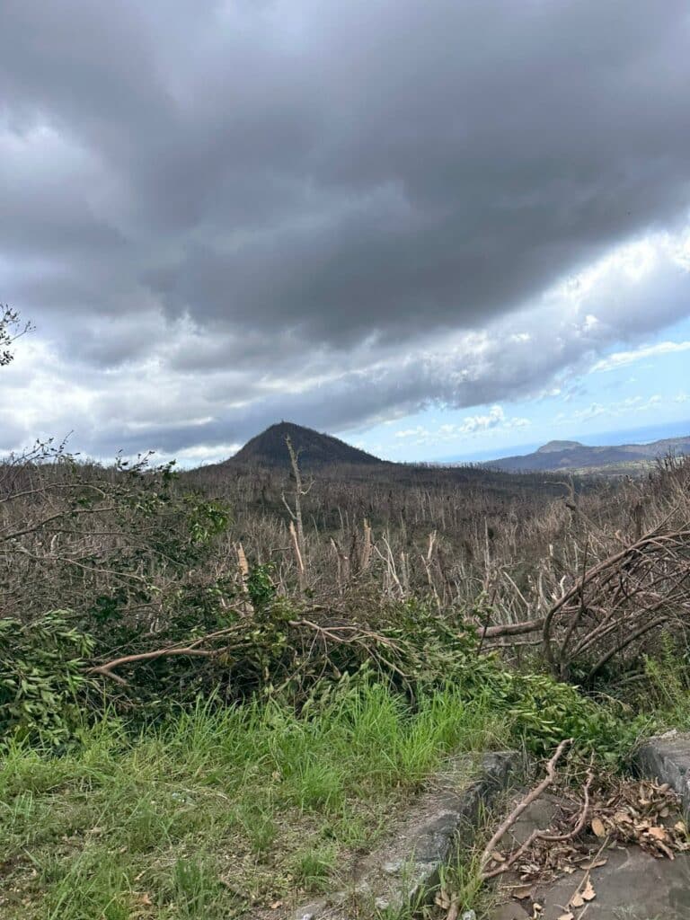 découvrez l'incroyable aventure de samuel à la réunion, où il parcourt des sentiers de trail à couper le souffle. rejoignez-le pour explorer des paysages époustouflants, des défis sportifs et une immersion dans la nature luxuriante de cette île unique.