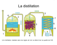 découvrez l'importance de la détermination dans la réalisation de vos objectifs. apprenez comment cette qualité essentielle peut transformer vos défis en opportunités et vous mener vers le succès souhaité.