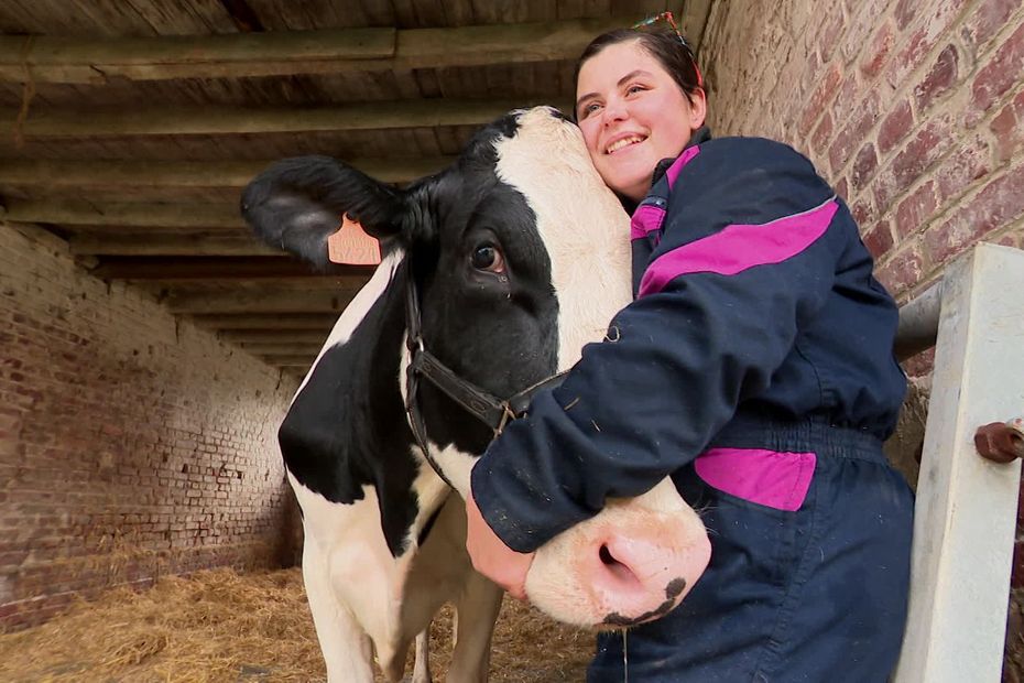 découvrez l'incroyable histoire d'une traileuse attaquée par une vache en pleine nature. un récit palpitant qui met en lumière les imprévus de la randonnée et l'importance de respecter la faune. lisez notre article pour connaître tous les détails de cet événement insolite.