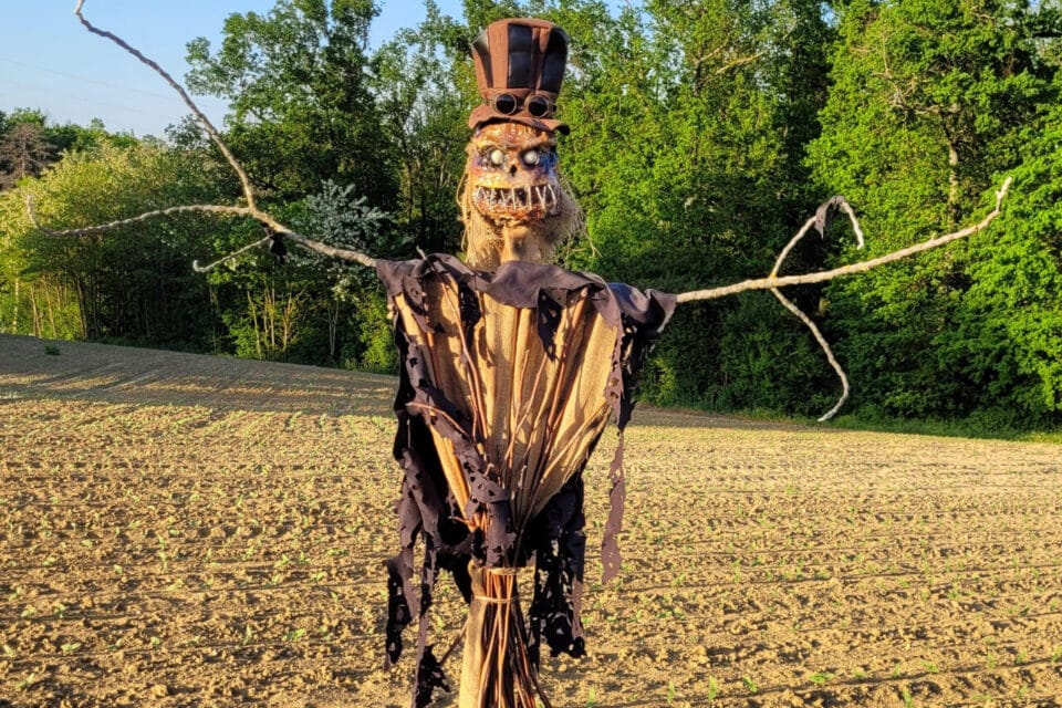 rendez hommage à jimmy pohié à travers une rétrospective émouvante de son parcours, de ses réalisations et de l'impact qu'il a laissé dans le cœur de ceux qui l'ont connu.