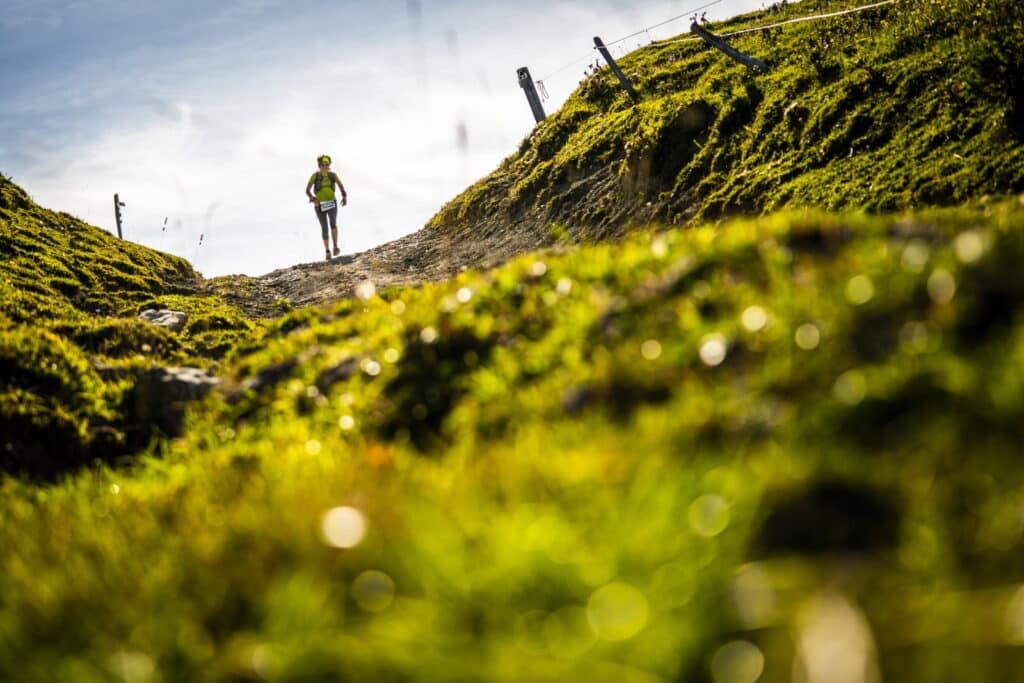 participez à l'ultra trail jura, une course exceptionnelle à travers les paysages sauvages et préservés du jura. vivez une aventure sportive intense et découvrez la nature au fil des kilomètres.