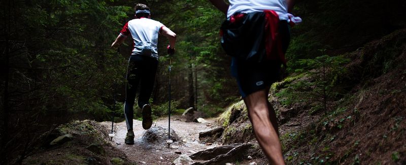 découvrez des conseils et outils pour une organisation efficace destinée aux éleveurs et aux ultratrailers, optimisant ainsi leurs performances et leur gestion quotidienne.