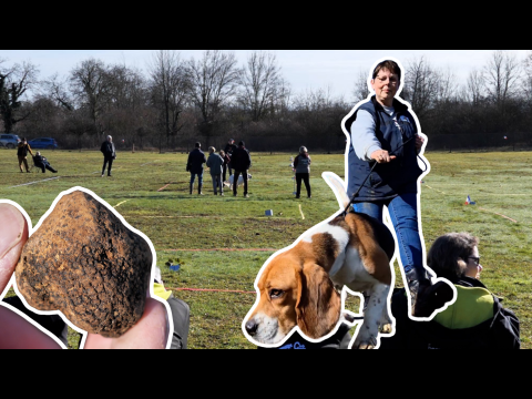 participez à l'ultra-trail de 200 km dans les vosges, une course d'endurance exceptionnelle à travers des paysages naturels spectaculaires pour les passionnés de trail et d'aventure.