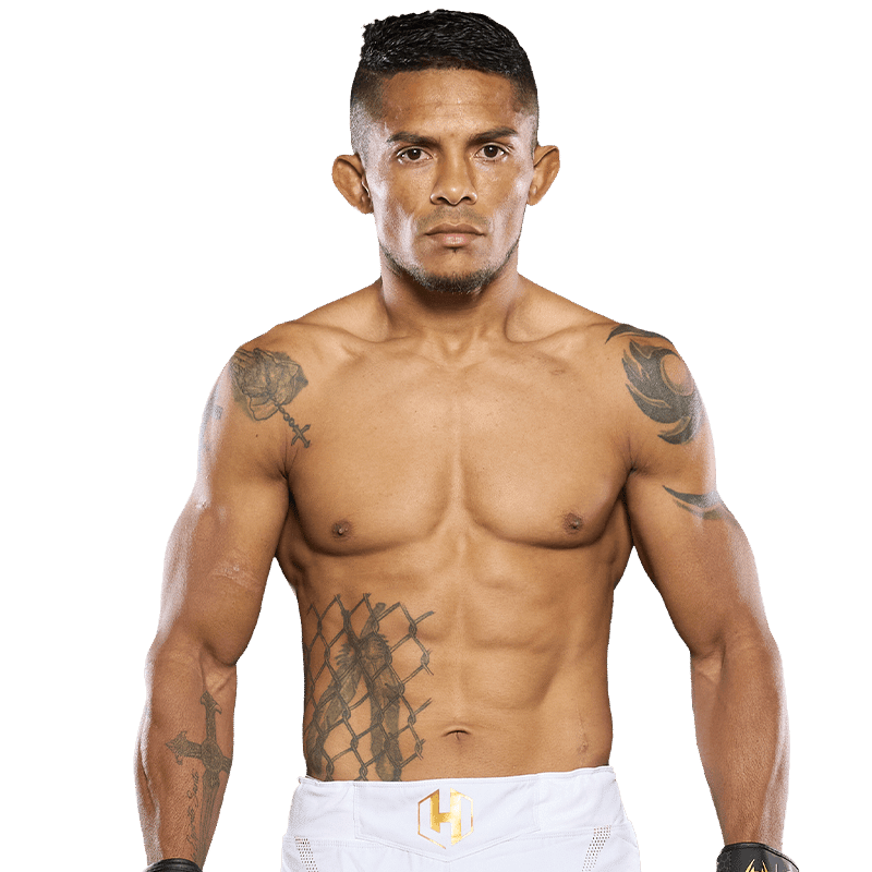 découvrez l'analyse détaillée du combat hexagone mma 40 entre goi et reis, avec un aperçu des forces, stratégies et moments clés de ce duel intense.